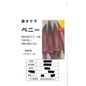 オクラ(ベニー)の詳細画像2