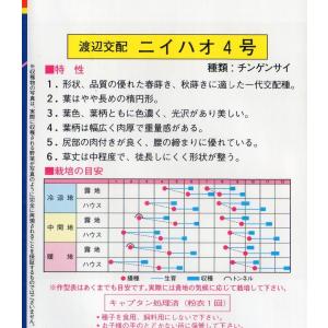 チンゲンサイ(ニイハオ4号)の詳細画像1