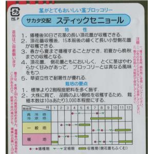 茎ブロッコリー(スティックセニョール)の詳細画像1
