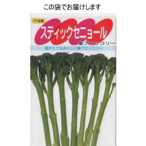 茎ブロッコリー(スティックセニョール)の詳細画像2