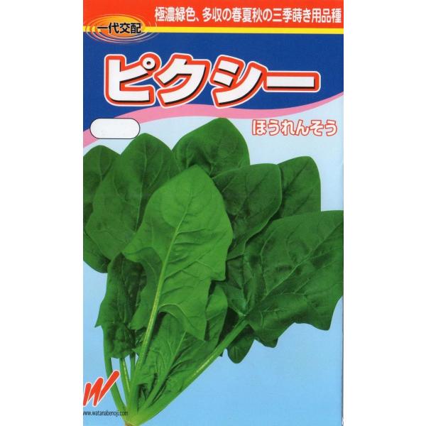 法蓮草（ピクシー法蓮草）