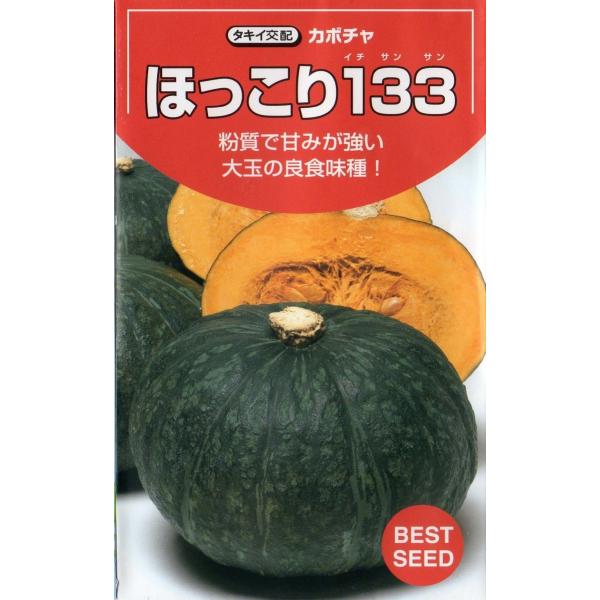 南瓜（ほっこり１３３）