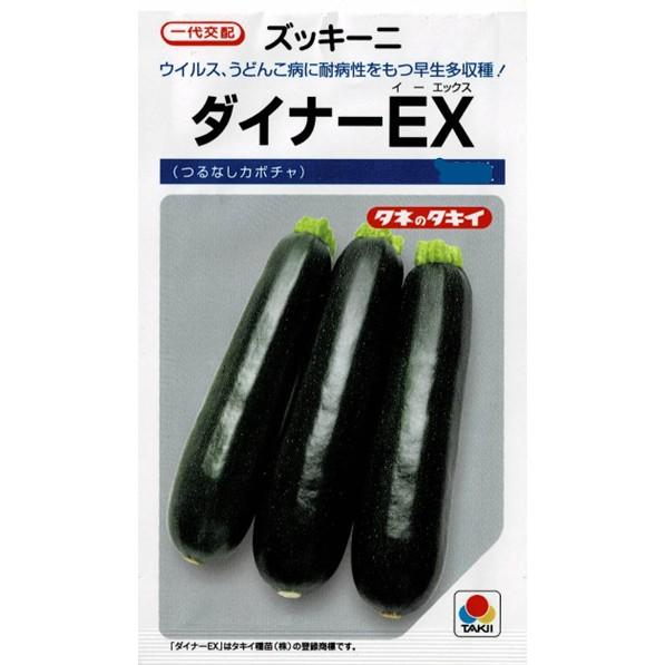 ズッキーニ（ダイナーEX）