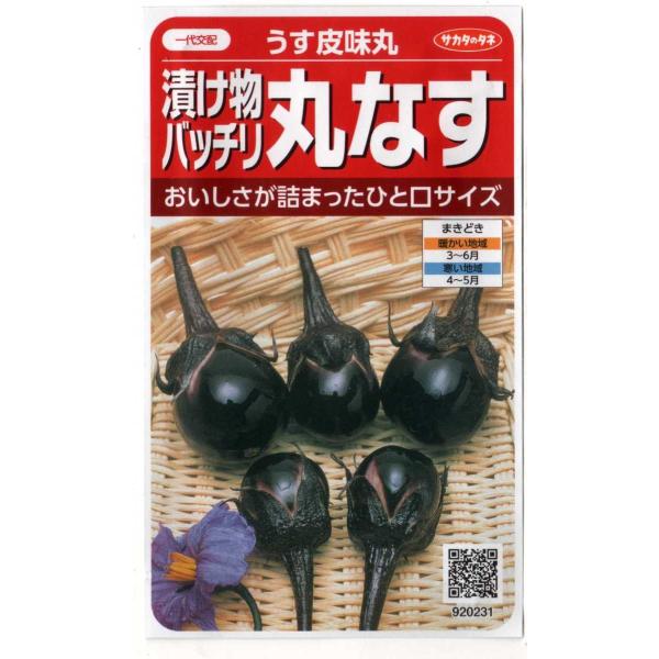 小丸ナス（うす皮味丸）