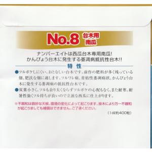 台木用南瓜(No.8)の詳細画像1