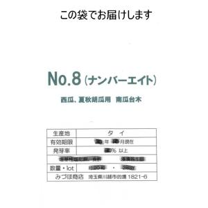 台木用南瓜(No.8)の詳細画像2