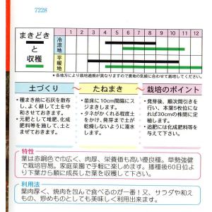 チマサンチュ赤葉種の詳細画像1