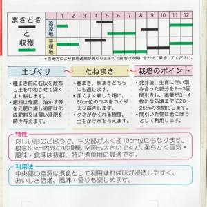 大浦牛蒡の詳細画像1