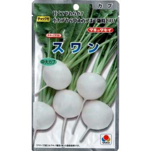 かぶ（スワンかぶ）