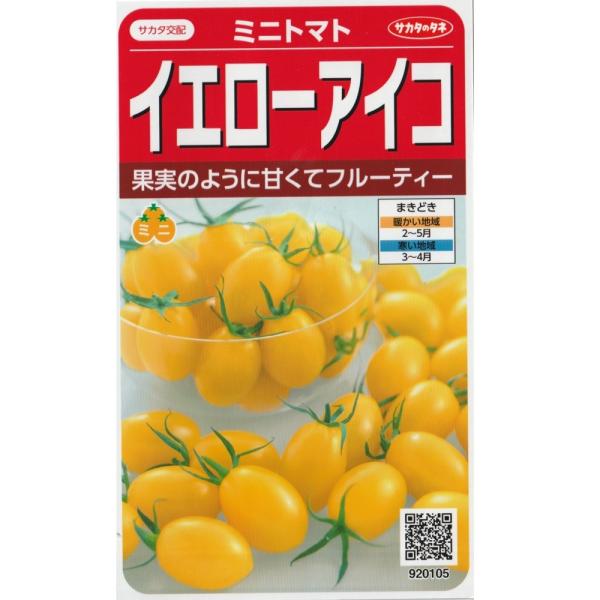 ミニトマト　イエローアイコ