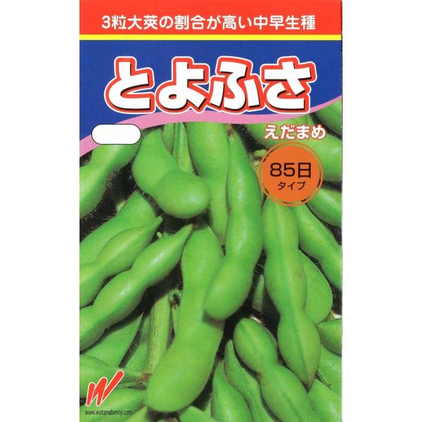 枝豆（とよふさ）