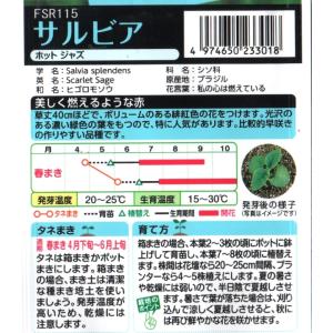 サルビアの詳細画像1