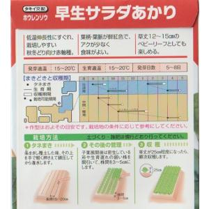 赤軸法蓮草(早生サラダあかり)の詳細画像1