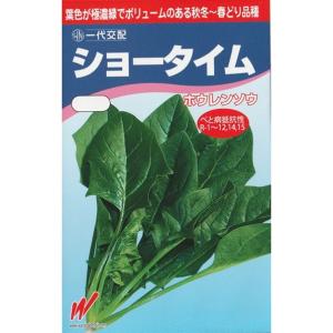 法蓮草（ショータイム法蓮草）