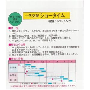 法蓮草(ショータイム法蓮草)の詳細画像1