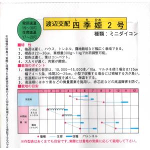ミニ大根(四季姫2号)の詳細画像1