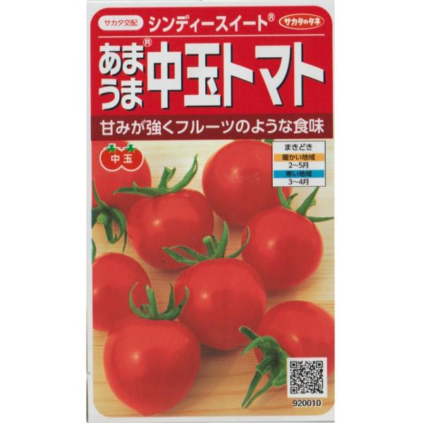 中玉トマト　シンディースイート