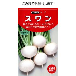 かぶ(スワンかぶ)の詳細画像2