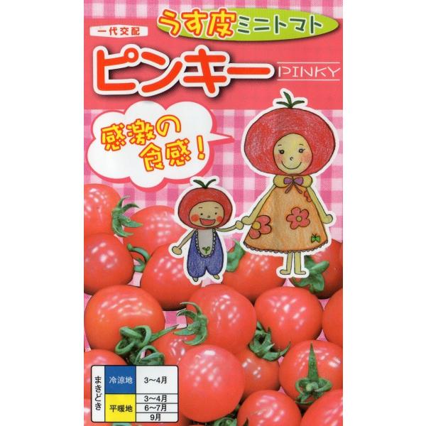 ミニトマト　ピンキー