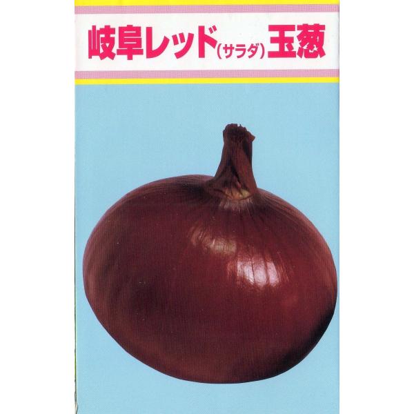 岐阜レッドサラダ玉葱