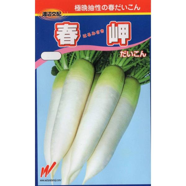 春の青首大根(春岬大根)