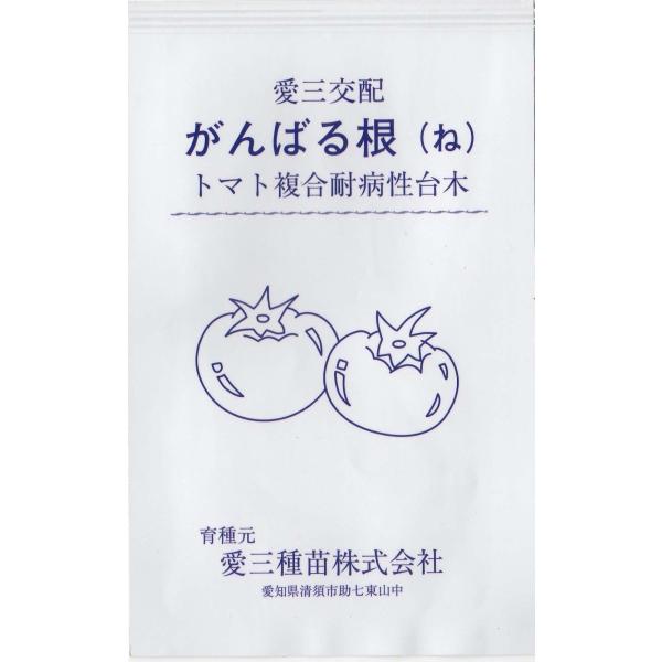 台木用トマト（がんばる根（ね））