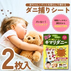新登場 ダニピタ君 (お試し用3枚入) 日本製 安心安全 ダニ対策 ダニ