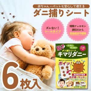 専用2点✨掛け布団 ロイヤルドリーム光 光触媒加工 遠赤 防菌 防虫 防ダニ① 未使用品✨掛け布団 ロイヤルドリーム光 光触媒加工 遠赤 防菌