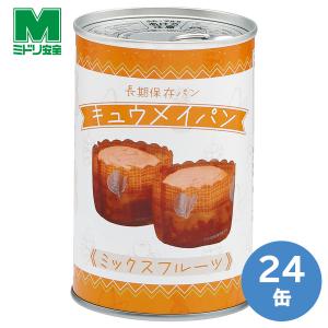 ミドリ安全 長期保存用パン キュウメイパン エコパッケージ ドライ