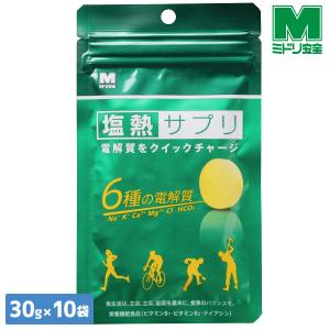 ミドリ安全 熱中対策 電解質をクイックチャージ ...の商品画像
