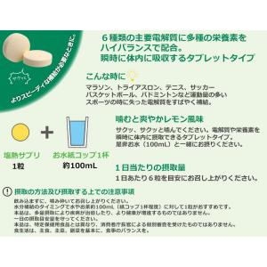 ミドリ安全 熱中対策 塩熱サプリ 10袋入りの詳細画像1
