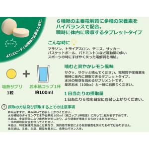ミドリ安全 熱中対策 塩熱サプリ 業務用 1粒...の詳細画像1