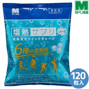 ミドリ安全 熱中対策 塩熱サプリ 業務用 1粒包装 (120粒入) ソーダ味｜midorianzen-com