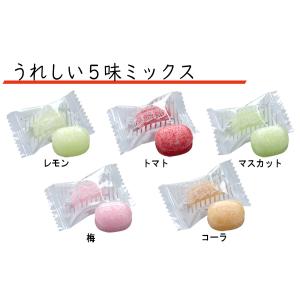 ミドリ安全 熱中対策 塩熱飴V(ファイブ) 1kgの詳細画像1