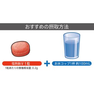 ミドリ安全 熱中対策 塩熱飴V(ファイブ) 1kgの詳細画像2