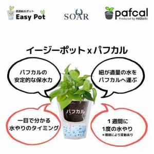お手入れ簡単 ミドリエ(パフカルソイル付き)金...の詳細画像4
