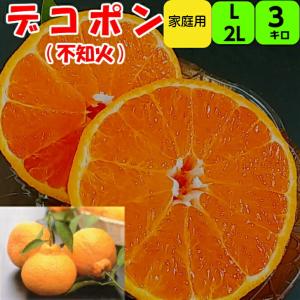 貯蔵デコポン 不知火【家庭用】3kg L〜３Lサイズ混合の場合もあります。多少の傷あり  送料無料 濃厚でコクのある甘味 特徴 紀南 紀州 和歌山 木熟 もぎた…｜midorikajitu