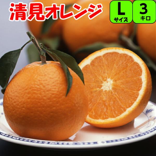 貯蔵清見 オレンジ 3kg  L又2L サイズ 【秀品】 送料無料 果汁は豊富で甘さと酸味がほどよく...