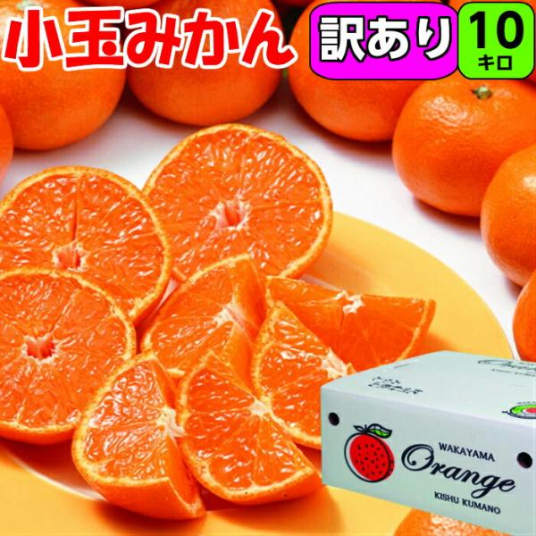 和歌山 小玉みかん 10kg 2S/Sサイズ 多少の傷あり 甘さたっぷりのみかん 送料無料  小玉 ...