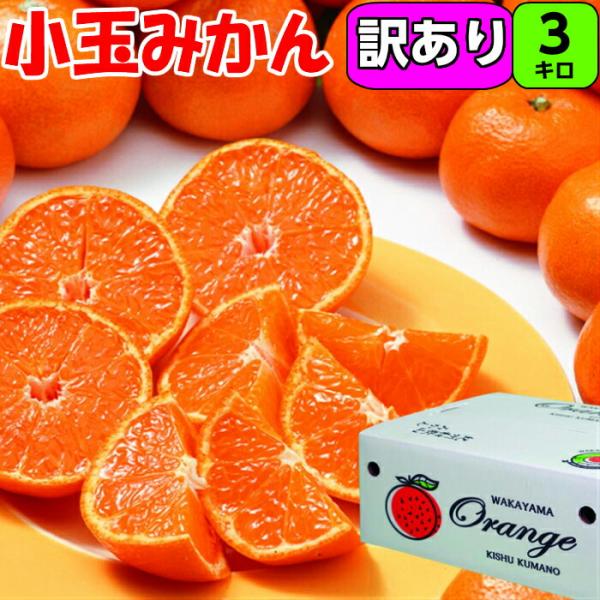 和歌山【家庭用】小玉 みかん 3kg 2S〜Sサイズ混合の場合もアリ 多少の傷あり 特別栽培  送料...