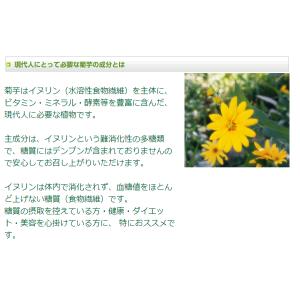 ドイツ産 菊芋粉末100g入 キクイモ 糖質制...の詳細画像2