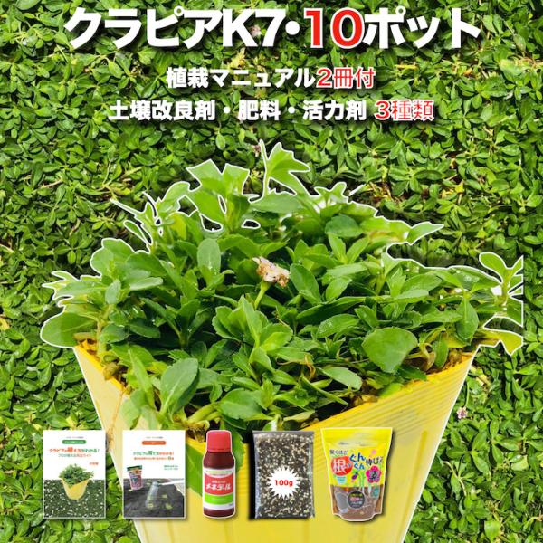予約商品 クラピア K7 9cmポット苗 10鉢 土壌改良セット マニュアル付き 肥料・活力剤・土壌...