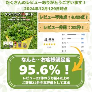 クラピア K7 9cmポット苗 10鉢 土壌改...の詳細画像1