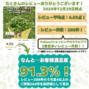 クラピア K7 9cmポット苗 10鉢セット ...の詳細画像1