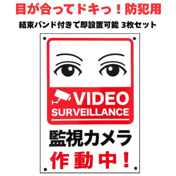 目が合う防犯用 監視カメラ作動中 看板 標識 3枚セット サイン プレート 35cm×25cm 四隅...