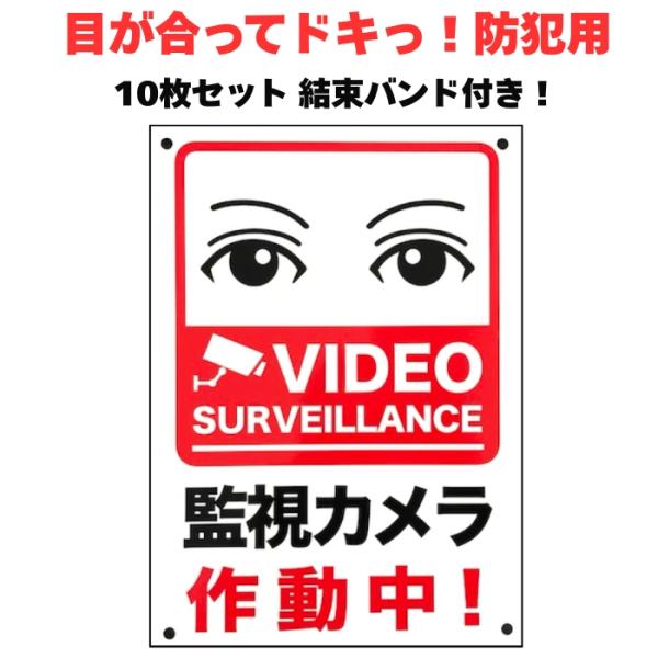 10枚セット 目が合う防犯用 監視カメラ作動中 看板 標識 35cm×25cm 四隅穴アケ 結束バン...