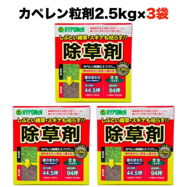 除草剤 強力 粒剤 顆粒 カペレン粒剤2.5 3袋セット 芝生にも使用可能 土壌処理型 DBN粒剤 ...