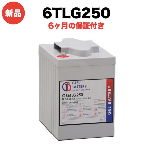 ディープサイクルバッテリー 6TLG250 新品 岐阜バッテリー オリジナルVRLA鉛蓄電池 本体