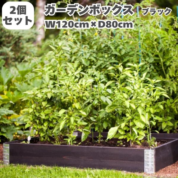 ガーデンボックス 1200×800 ブラック 2個セット 花壇 プランター 家庭菜園 野菜 砂場 レ...