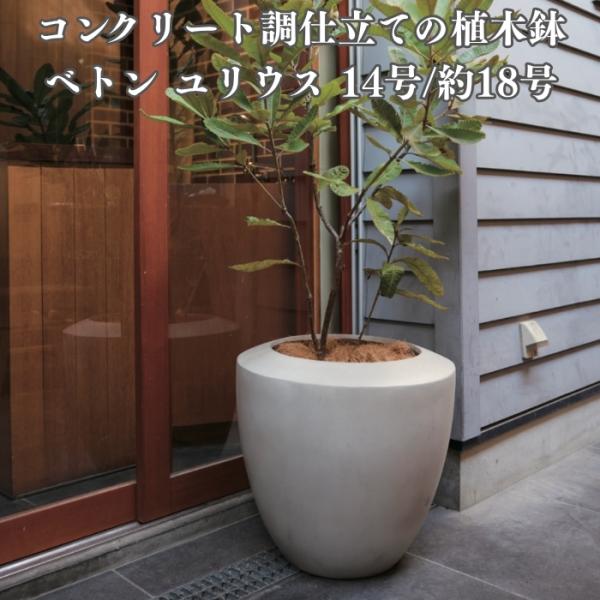 植木鉢 おしゃれ 大型 コンクリート ベトン ユリウス 18号 14号 ファイバーセメント グレー ...